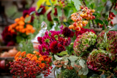 flowers-a_tipica-195218