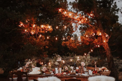 spaces-weddingchicks-winter