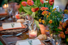 tables-a_tipica-tulip
